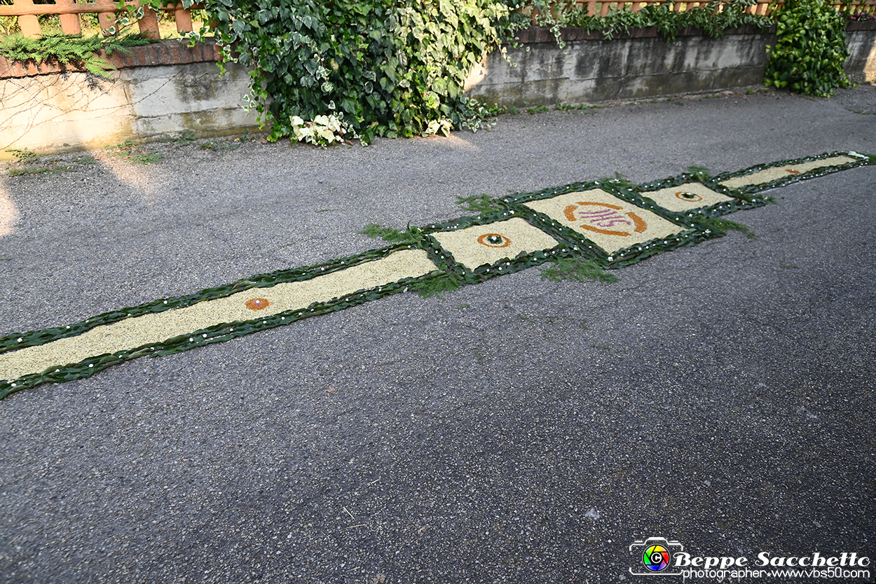 VBS_9902 - Infiorata Santuario della Madonnina di Villanova d'Asti 2024.jpg